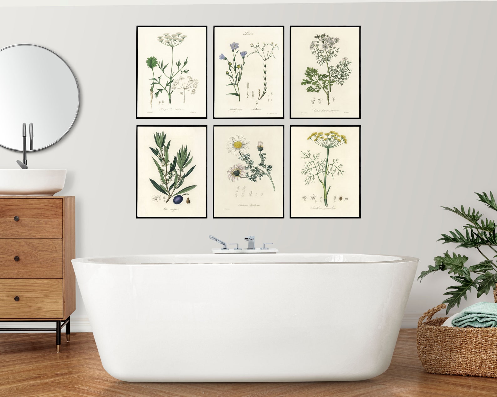 Set of 6 Botanical Print Set of 6 Vintage Prints Set of 6 - Etsy