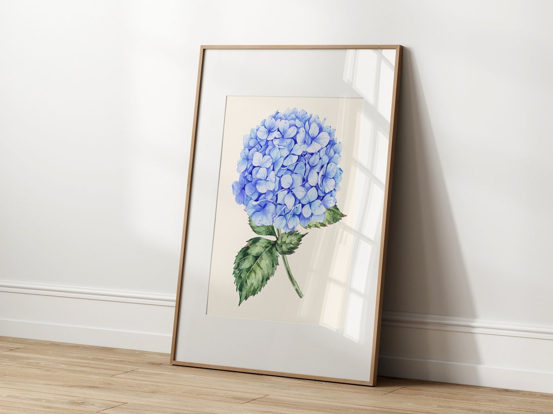 Hydrangea Floral Watercolor Wall Art Print Poster, Hydrangea Painting ...