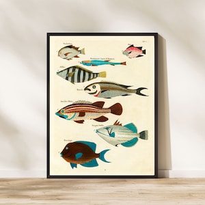 Vintage Fish Print, Fish Poster, Vintage Fishing wall art, VIntage style