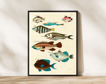 Vintage Fish Print, Fish Poster, Vintage Fishing wall art, VIntage style