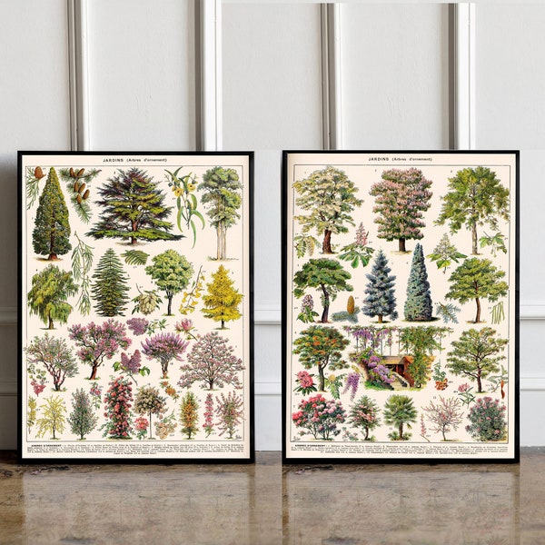 Ensemble de 2 imprimés botaniques d'arbres vintage, affiche Millot, affiche botanique d'arbres vintage, décoration murale vintage, idée cadeau, impression de jardin