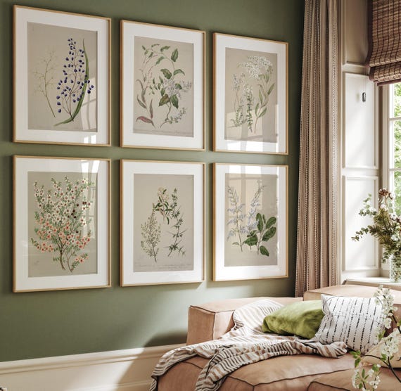 BOTANICAL ART 【import品】 Set of 6 Botanical Print, Set of 6 Vintage Prints, Set of 6