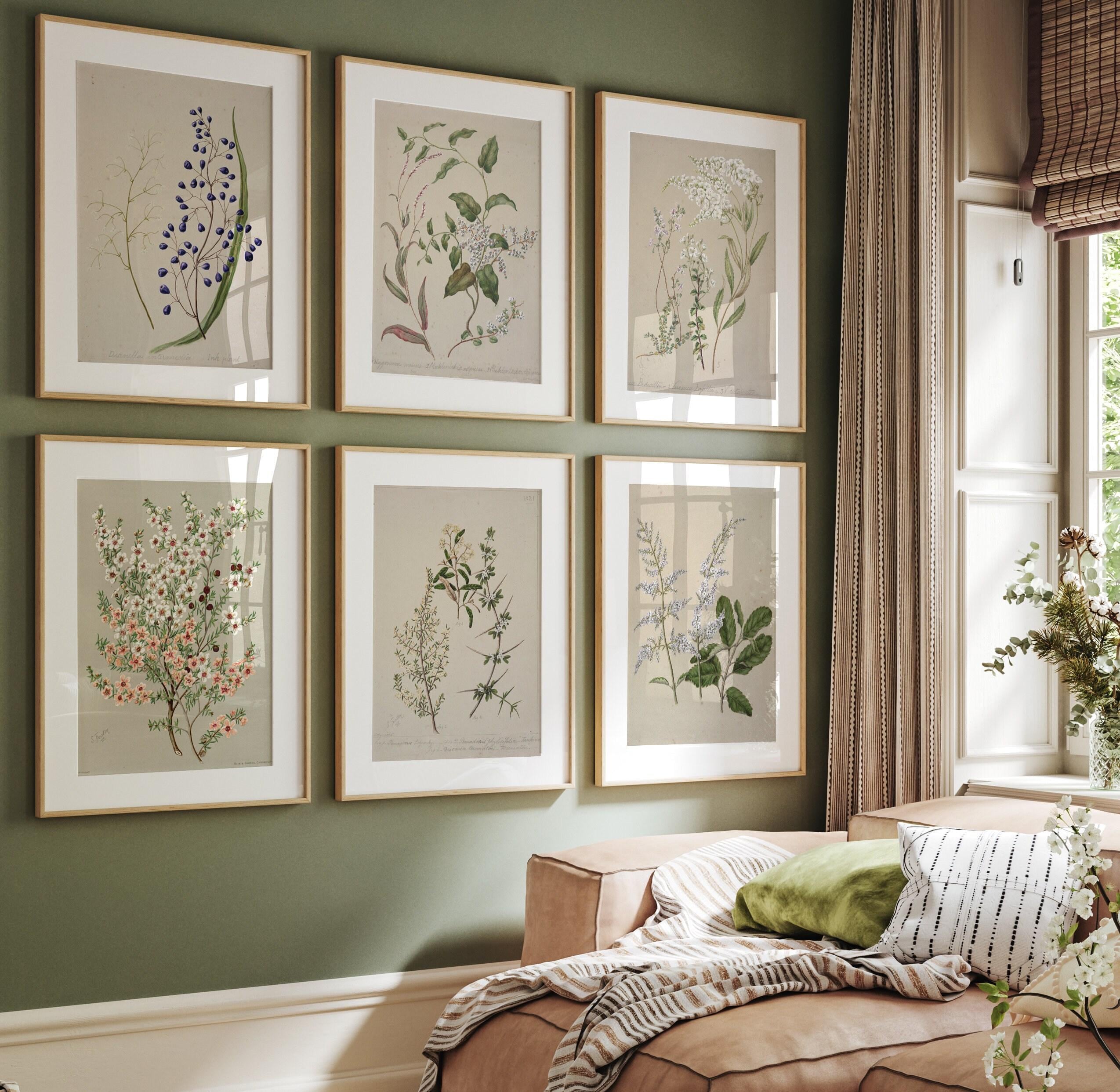 Set of 6 Botanical Print, Set of 6 Vintage Prints, Set of 6