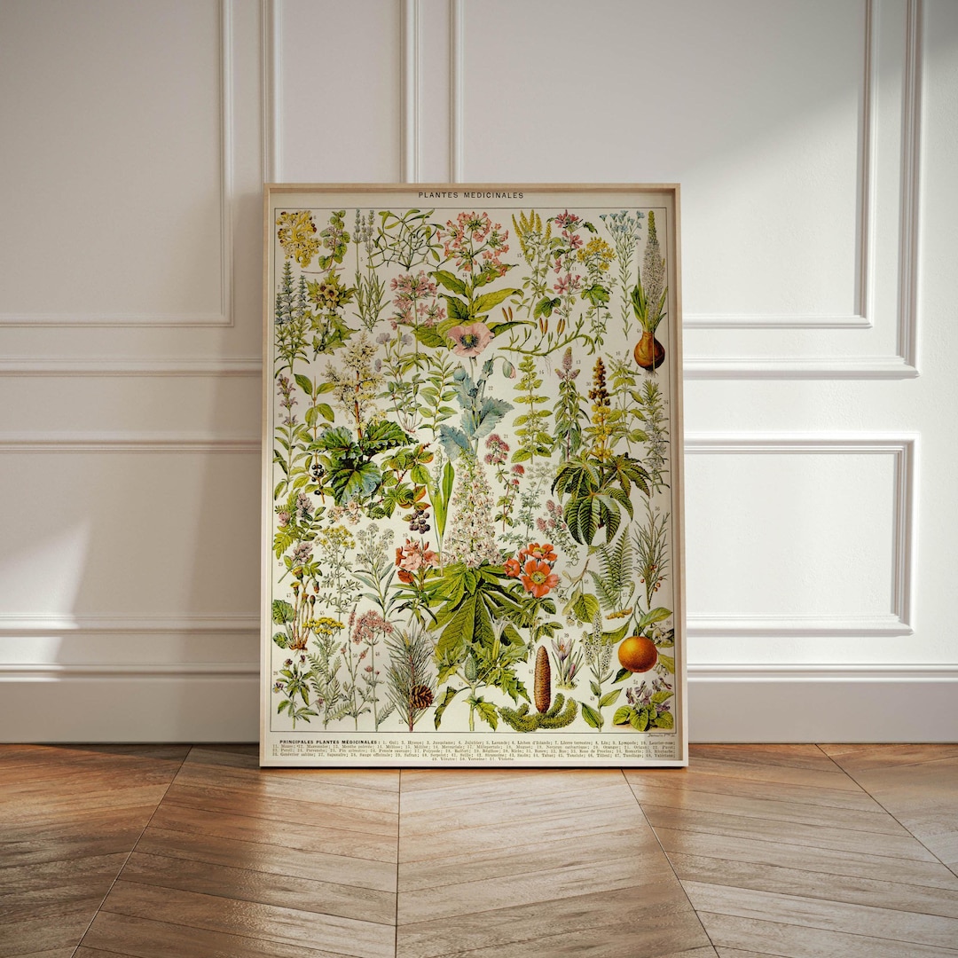 Vintage Print Medical Plants, Botanical Flower Poster, Kitchen Wall Art ...