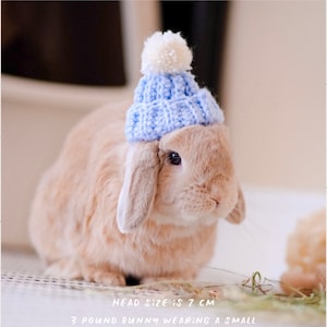 Bunny beanie | for lop-eared rabbits