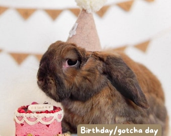 Bunday birthday palooza | birthday party/gotcha day bundle for rabbits *ONLY taking orders for birthdays in the 1st week of June onwards*