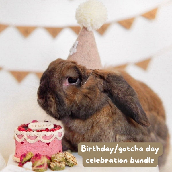Bunday birthday palooza | birthday party/gotcha day bundle for rabbits *ONLY taking orders for birthdays in the 4th week of May and onwards*
