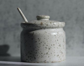 Ceramic Sugar Pot With Spoon/Salt Cellar/Spice Pot