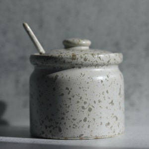 Ceramic Sugar Pot With Spoon/Salt Cellar/Spice Pot