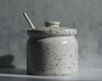 Ceramic Sugar Pot With Spoon/Salt Cellar/Spice Pot