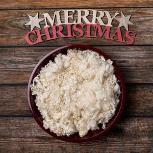 Christmas Newborn Digital Backdrop -  Digital Backgrounds - Red Bowl with Merry Christmas Sign on Wooden Floorboard Background