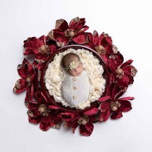 Christmas Newborn Digital Backdrop -  Digital Backgrounds - Red Bowl Surrounded by Red Christmas Flowers