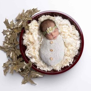 Christmas Newborn Digital Backdrop -  Digital Backgrounds - Red Bowl with Gold Christmas Holly