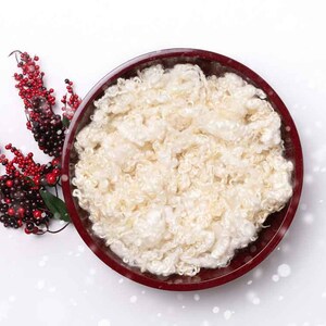 Christmas Newborn Digital Backdrop -  Digital Backgrounds - Red Bowl and Red Christmas Holly