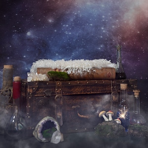 Newborn Digital Backdrop - Potions Class