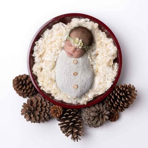 Christmas Newborn Digital Backdrop -  Digital Backgrounds - Simple Red Bowl and Pine Cones