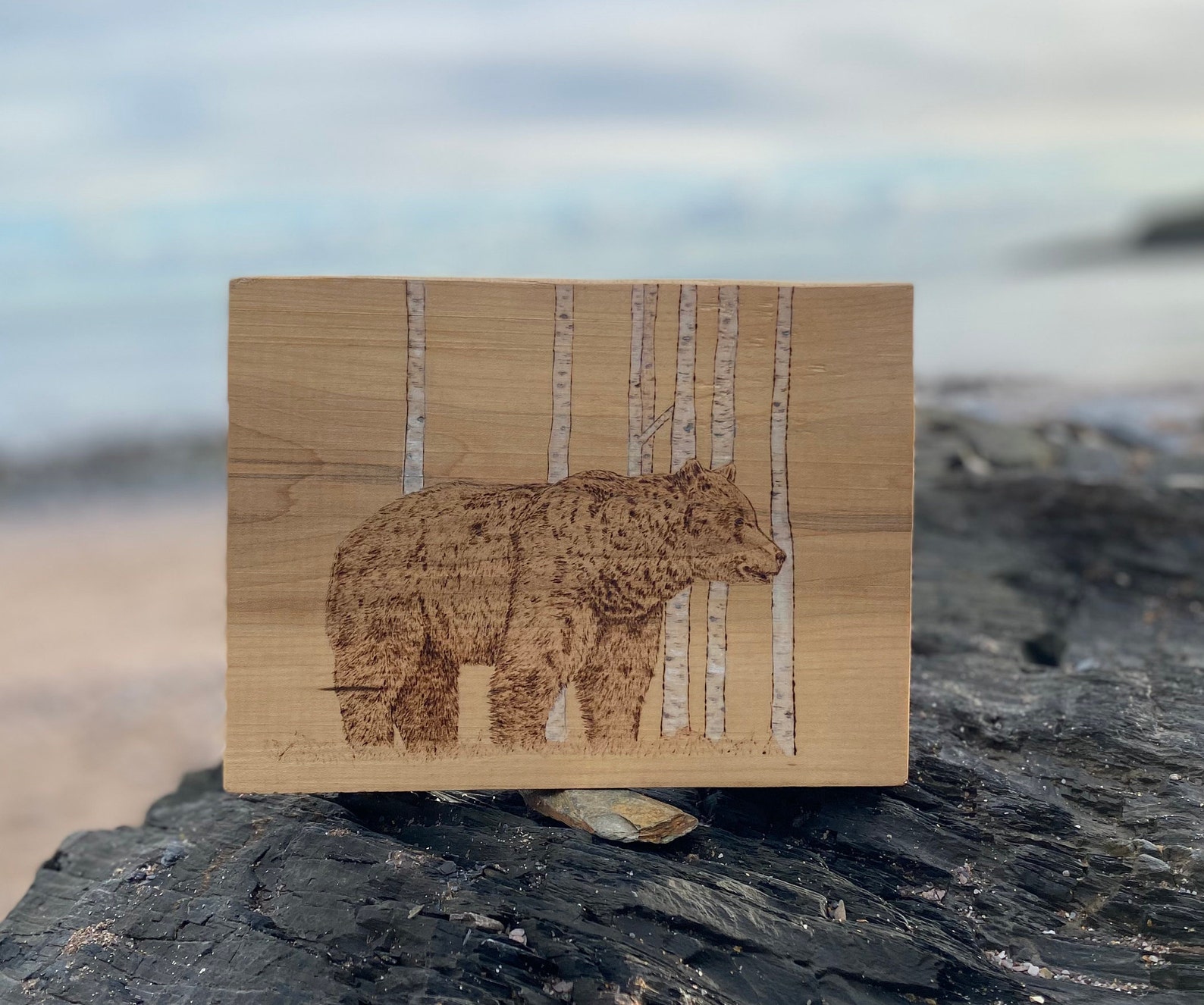 Brown Bear and Silver Birch Trees Etsy