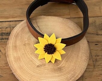 Dog collar sunflower, dog collar accessory Sunflower dog accessory