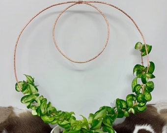 Hand Hammered & Wire Wrapped Copper Hoya Plant Double Loop Trellis Houseplant