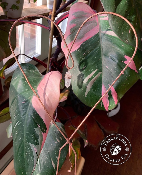 Wire Wrap Crystal and Copper Heart Plant Trellis 