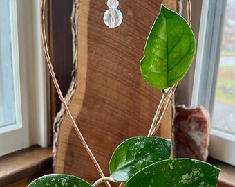 Copper Sun Catcher Plant Trellis, Houseplant Trellis, Copper Trellis, Hoya Trellis, Plant Lover Gift, Houseplant Lover