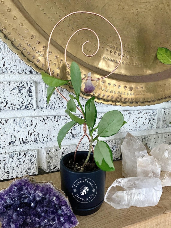 Unique Swirled Hammered & Wire Wrapped Amethyst Copper Houseplant Hoya Trellis  Indoor Plants Small Trellis - Etsy
