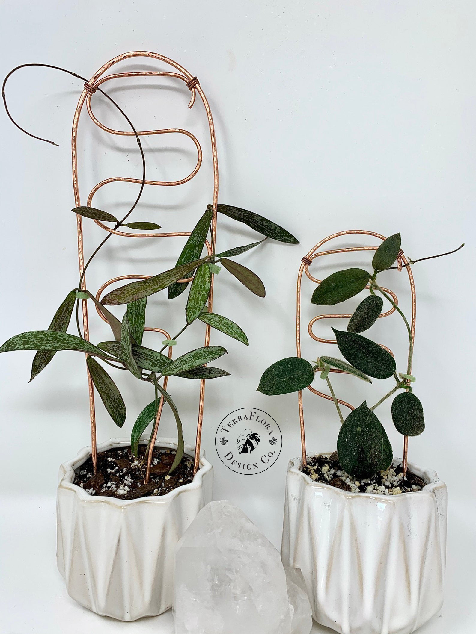 Handmade Hammered Copper Houseplant Hoya Trellis Indoor Plants