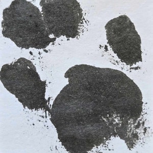 May include: A black paw print on a white background. The print is made with a thick, dark paint.