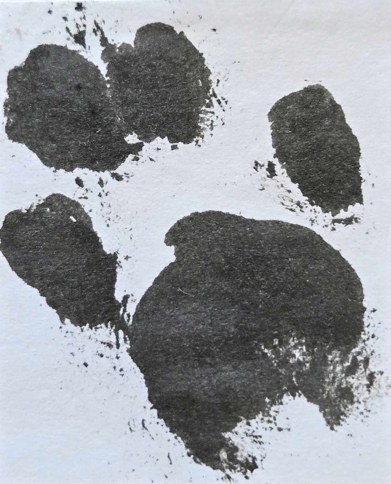 May include: A black paw print on a white background. The print is made with a thick, dark paint.