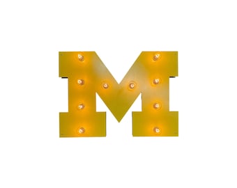 University of Michigan illuminated steel wall decor