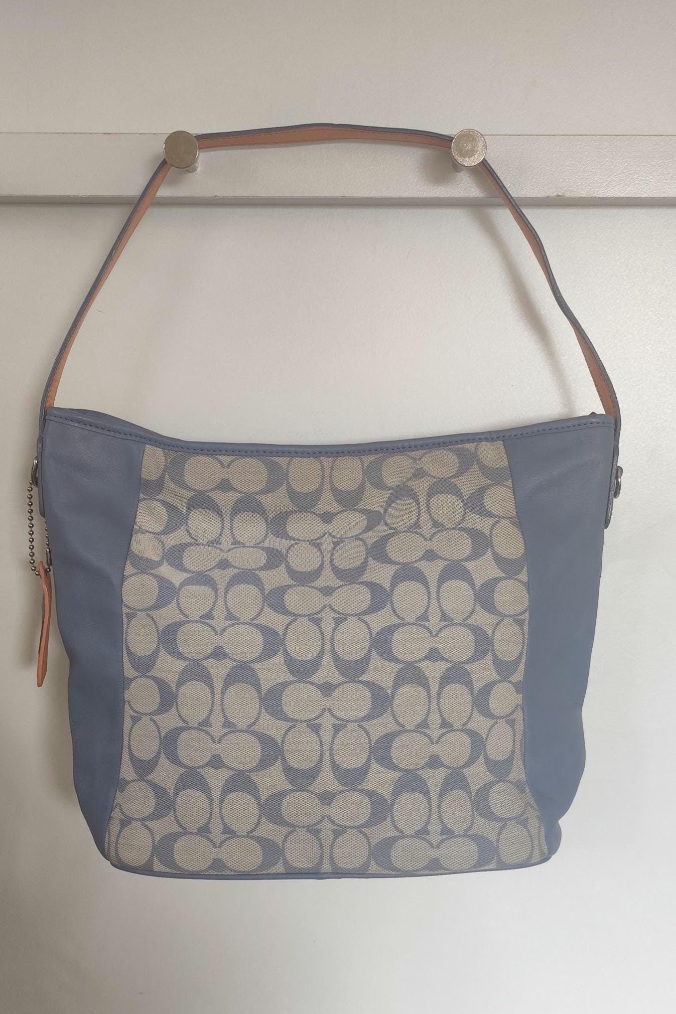 Buy Coach Signature Light Blue Canvas Leather Tote Bag Online in 