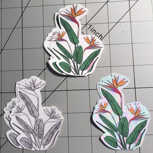 Bird of Paradise - Waterproof sticker for your binder, Phone, Laptop, water bottle - hydro