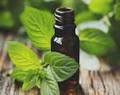 Peppermint Essential Oil 100 Pure Mentha Piperita Therapeutic Grade Aromatherapy Oils