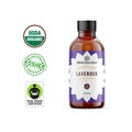 Lavender Essential Oil, 100% Pure Natural Therapeutic Grade For Soap, Body, Skin, Hair, Diffuser and Candle Bulk Wholesale