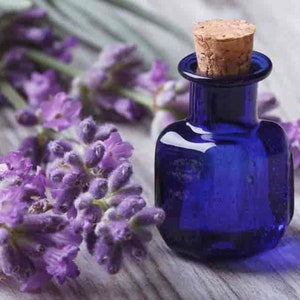 May include: A small blue glass bottle with a cork stopper, filled with lavender essential oil. Lavender flowers are arranged around the bottle on a white wooden surface.