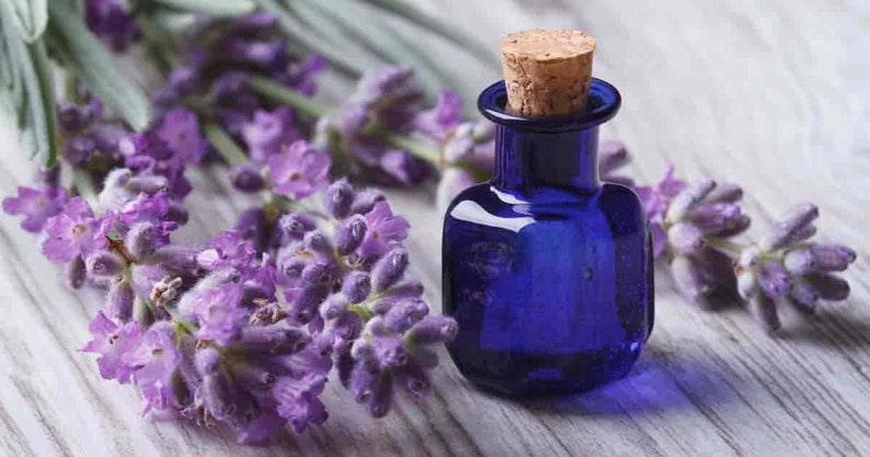 May include: A small blue glass bottle with a cork stopper, filled with lavender essential oil. Lavender flowers are arranged around the bottle on a white wooden surface.