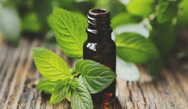 May include: A small, dark brown glass bottle of essential oil with a green mint plant in front of it. The bottle is sitting on a wooden surface.
