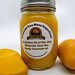 Organic Sea Moss Gel - Honey Kidney Mango - St. Lucian Wildcrafted