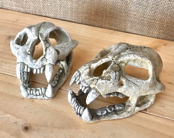 Mountain Lion Skull Etsy