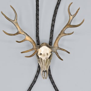 Brooke Stone Elk Skull Silver Bolo Tie