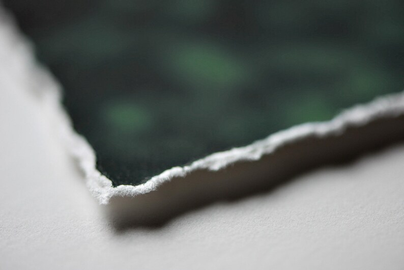 deckled edge photo prints