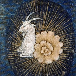 Snail Goat II Medieval Print, funny art gift, animal cuteness, home decor, bestiary, marginalia, cottagecore, forestcore, weird goth quirky