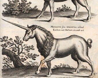 Unicorn I Renaissance Print, fantasy art gift, home wall decor, bestiary, medieval marginalia, myth, cottagecore, forestcore