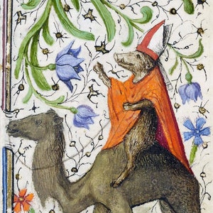 Bishop Warthog on Camel Medieval Print, home decor, medieval art, bestiary, marginalia, animal cuteness, cottgecore, forestcore, goth weird