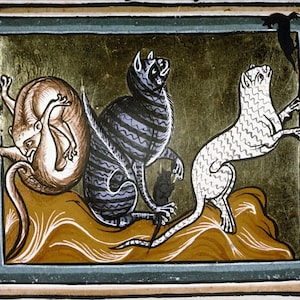 Badly Drawn Medieval Cat Print, funny art gift, cottagecore, marginalia, bestiary, witchy goth weird, familiar coven craft, quirky cute