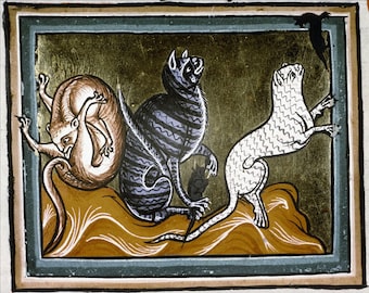 May include: A medieval manuscript illustration depicting three cats, one brown, one black and white striped, and one white, on a gold background. The cats are depicted in a playful pose, with the brown cat appearing to be chasing the white cat.