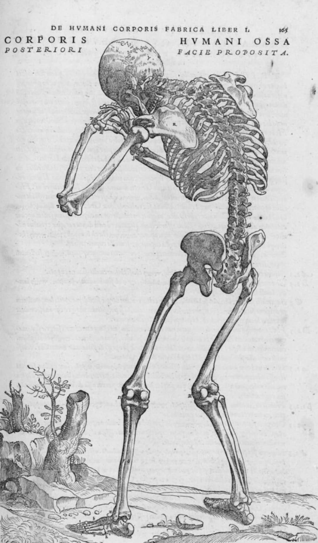 Weeping Skeleton Renaissance Print, Wall Art, Framable Print, Authentic ...