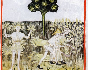 May include: A medieval illustration showing three people harvesting wheat in a field. The people are wearing simple clothing and are holding sheaves of wheat. A small tree with green leaves is in the background. The image is titled "Atis."