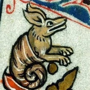Snail Fox Medieval Print, fox art, animal cuteness, home decor, snails, bestiary, marginalia, gift, memes in history, cottagecore, goth