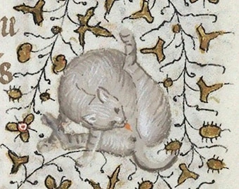 Puede incluir: Un gato gris enroscado en una posición de dormir, rodeado de un borde decorativo de vides y flores doradas y negras. El gato está representado en un estilo medieval, con un diseño simple y estilizado.